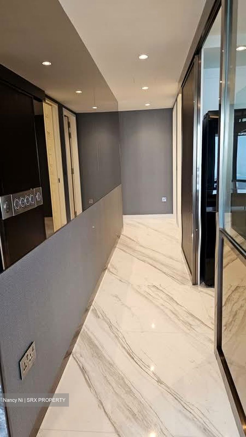 Wallich Street (D2), Condominium #554193111
